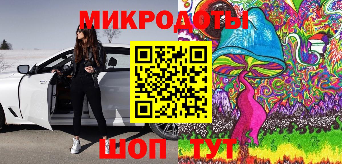 Галлюциногенные грибы Psilocybe Волжский