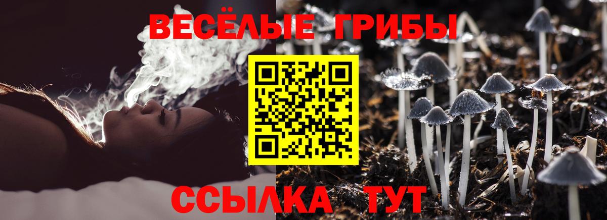 Псилоцибиновые грибы Cubensis  Вход с VPN  Волжский 